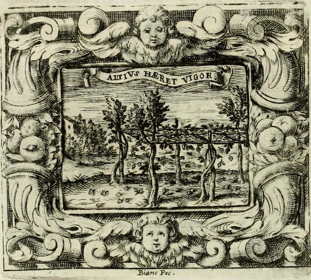 An illustration from Theatrum temporaneum aeternitati Caesaris Montii S.R.E. cardinalis et archiep. Mediolanen. sacrum, 1636, leaf 111