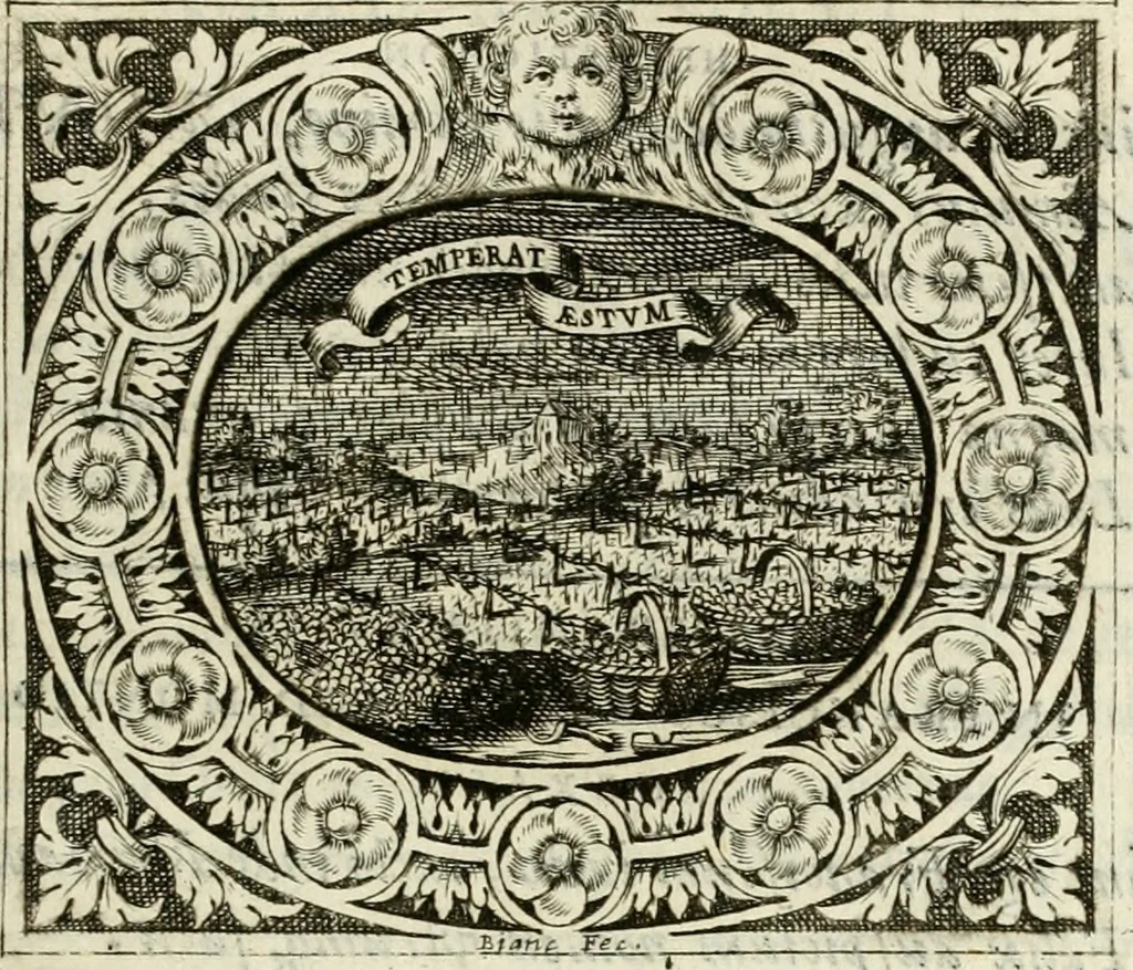 An illustration from Theatrum temporaneum aeternitati Caesaris Montii S.R.E. cardinalis et archiep. Mediolanen. sacrum, 1636, leaf 116
