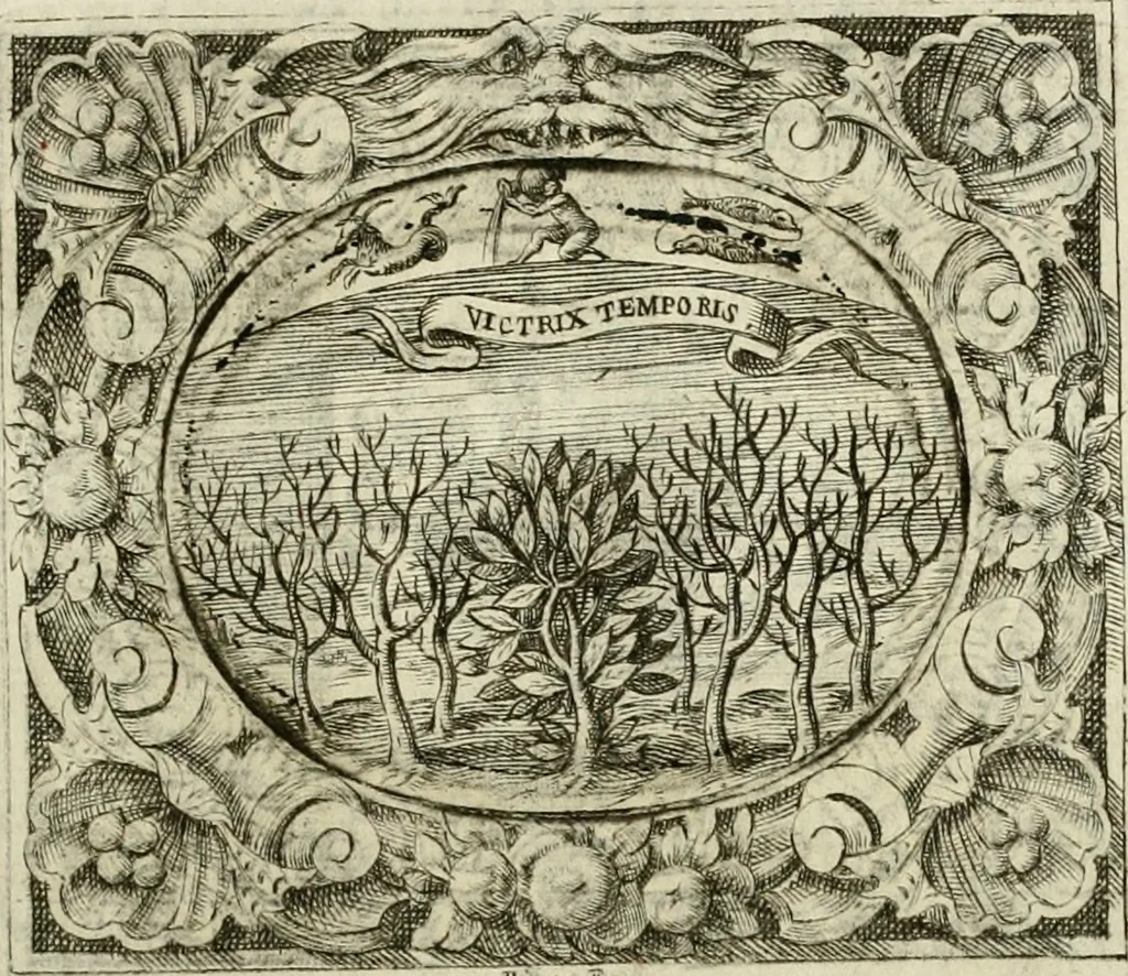 An illustration from Theatrum temporaneum aeternitati Caesaris Montii S.R.E. cardinalis et archiep. Mediolanen. sacrum, 1636, leaf 132