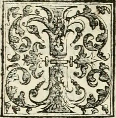 An illustration from Theatrum temporaneum aeternitati Caesaris Montii S.R.E. cardinalis et archiep. Mediolanen. sacrum, 1636, leaf 206