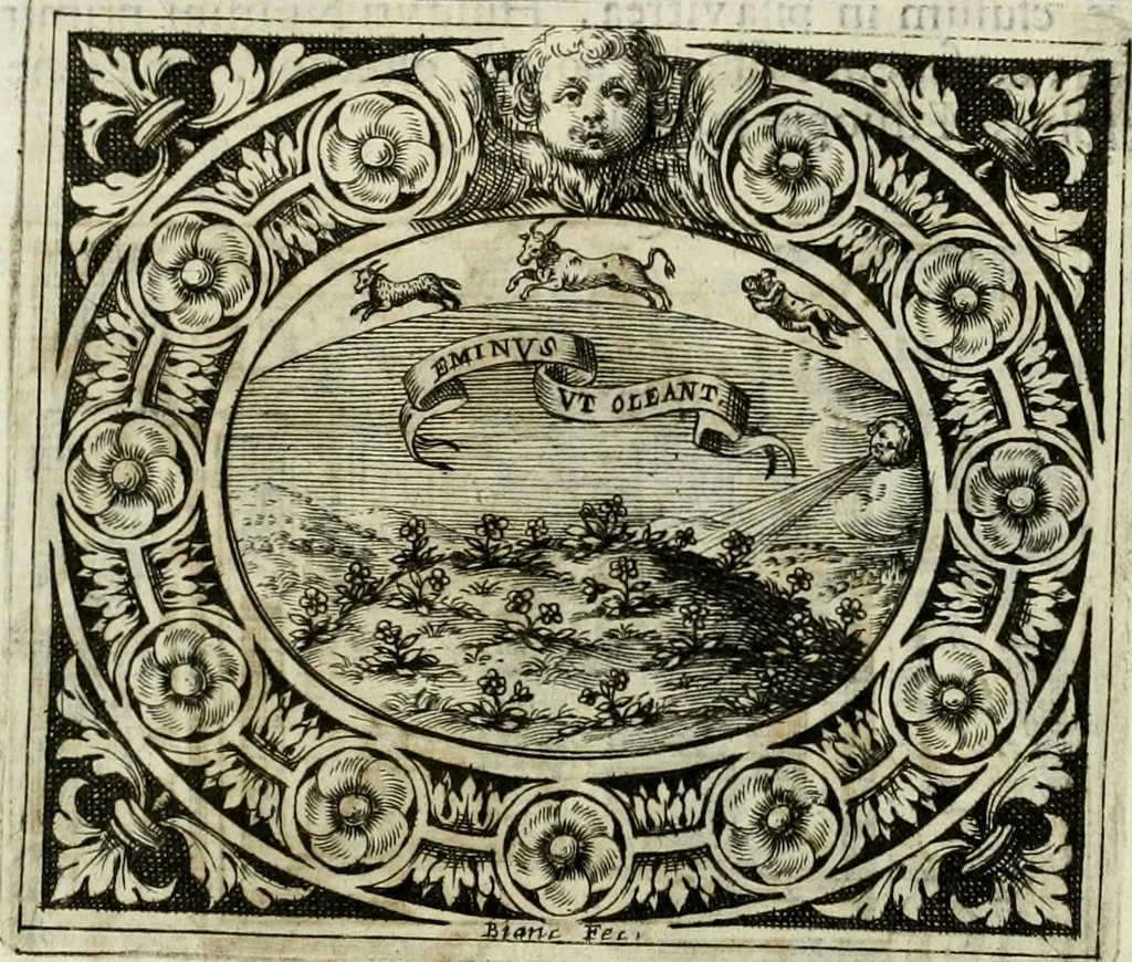 An illustration from Theatrum temporaneum aeternitati Caesaris Montii S.R.E. cardinalis et archiep. Mediolanen. sacrum, 1636, leaf 51