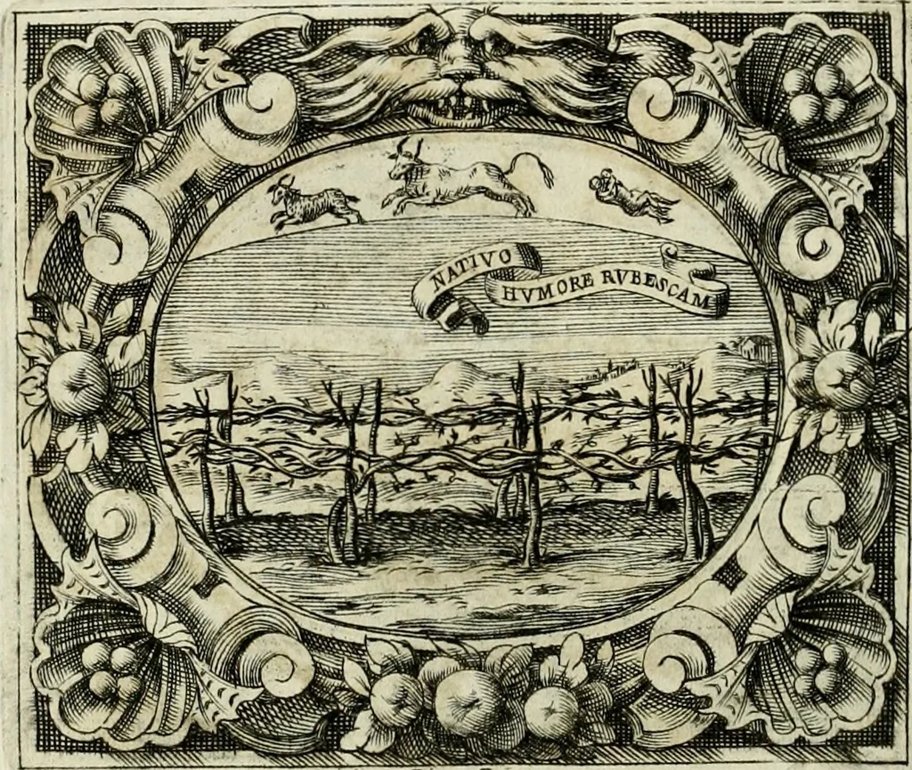 An illustration from Theatrum temporaneum aeternitati Caesaris Montii S.R.E. cardinalis et archiep. Mediolanen. sacrum, 1636, leaf 53