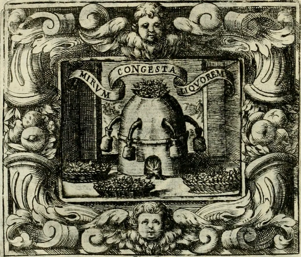 An illustration from Theatrum temporaneum aeternitati Caesaris Montii S.R.E. cardinalis et archiep. Mediolanen. sacrum, 1636, leaf 63