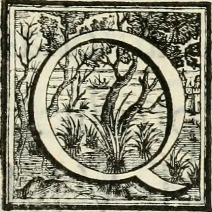 An illustration from Theatrum temporaneum aeternitati Caesaris Montii S.R.E. cardinalis et archiep. Mediolanen. sacrum, 1636, leaf 8