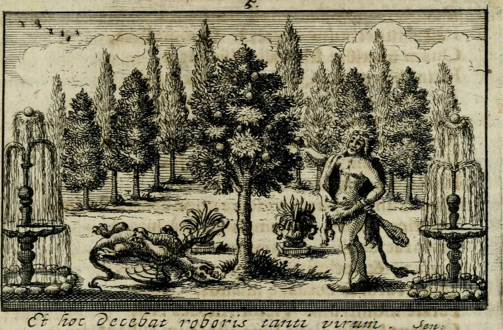 An illustration from Theatrum virtutis et honoris, augustis magnorum Caesarum filiis ab augustissimis parentibus ad imperium destinatis exstructum, et illustrissimis, perillustribus, reverendis, religiosis, praenobilibus, nobilibus, ac doctissimis DD. AA. LL. et philosophiae doctoribus, 1697, leaf 34