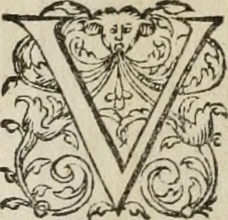 An illustration from Theatrum vitae humanæ., 1596, leaf 125