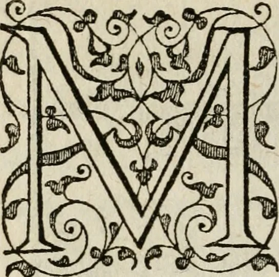 An illustration from Theatrum vitae humanæ., 1596, leaf 133