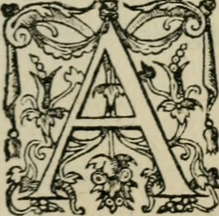 An illustration from Theatrum vitae humanæ., 1596, leaf 16
