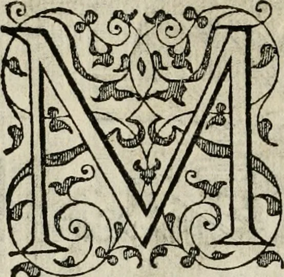 An illustration from Theatrum vitae humanæ., 1596, leaf 165