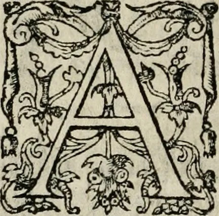 An illustration from Theatrum vitae humanæ., 1596, leaf 169