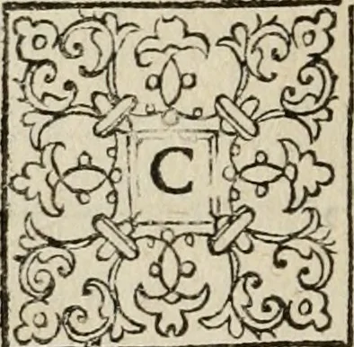 An illustration from Theatrum vitae humanæ., 1596, leaf 19