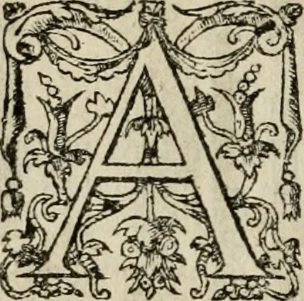 An illustration from Theatrum vitae humanæ., 1596, leaf 193
