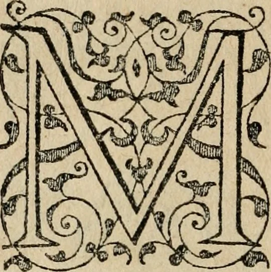 An illustration from Theatrum vitae humanæ., 1596, leaf 217