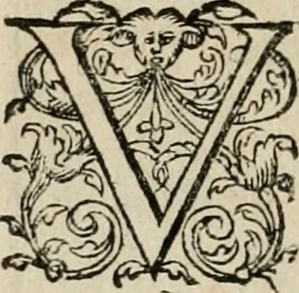An illustration from Theatrum vitae humanæ., 1596, leaf 233