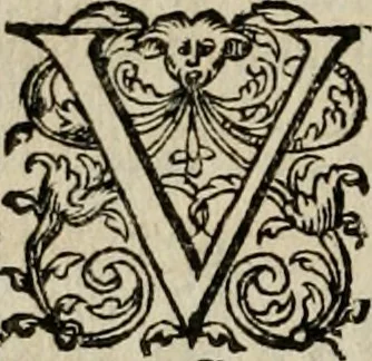 An illustration from Theatrum vitae humanæ., 1596, leaf 241
