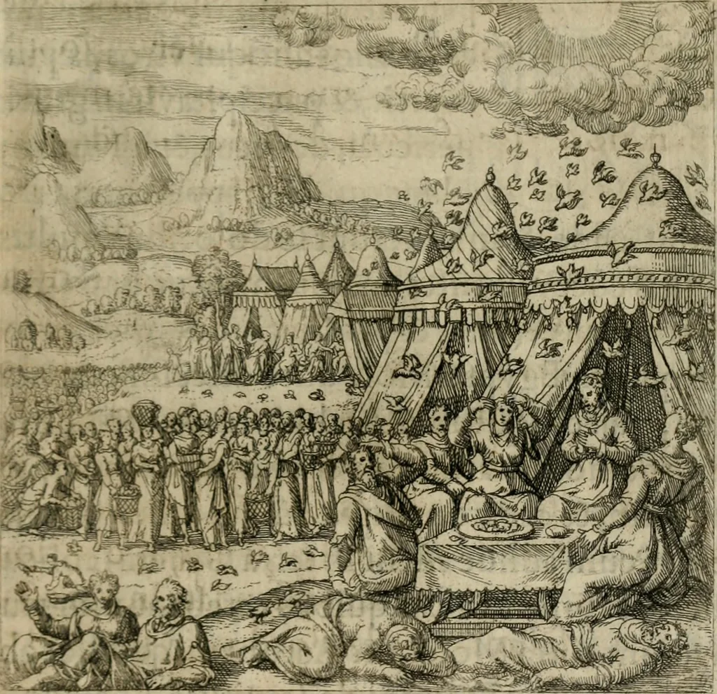 An illustration from Theatrum vitae humanæ., 1596, leaf 260