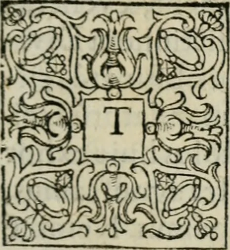 An illustration from Theatrum vitae humanæ., 1596, leaf 6