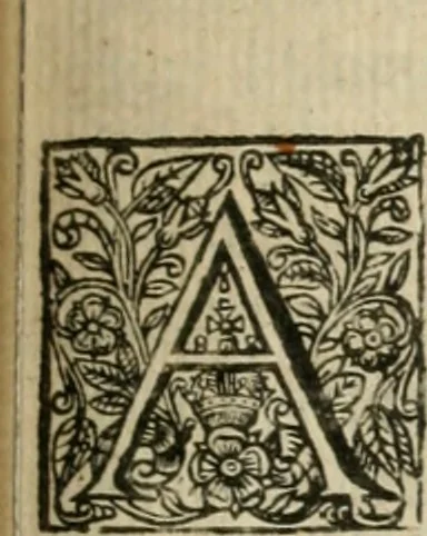 An illustration from Theatrvm chemicvm britannicum : containing severall poeticall pieces of our famous English philosophers, who have written the hermetique mysteries in their owne ancient language, 1652, leaf 124