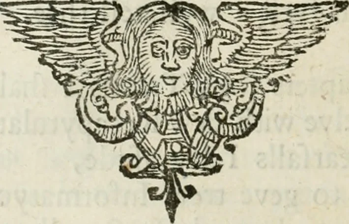An illustration from Theatrvm chemicvm britannicum : containing severall poeticall pieces of our famous English philosophers, who have written the hermetique mysteries in their owne ancient language, 1652, leaf 151