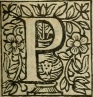 An illustration from Theatrvm chemicvm britannicum : containing severall poeticall pieces of our famous English philosophers, who have written the hermetique mysteries in their owne ancient language, 1652, leaf 236