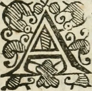 An illustration from Theatrvm chemicvm britannicum : containing severall poeticall pieces of our famous English philosophers, who have written the hermetique mysteries in their owne ancient language, 1652, leaf 301