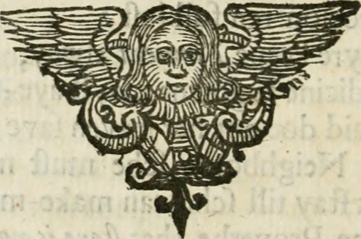 An illustration from Theatrvm chemicvm britannicum : containing severall poeticall pieces of our famous English philosophers, who have written the hermetique mysteries in their owne ancient language, 1652, leaf 309