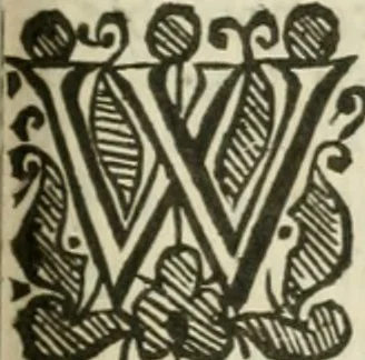 An illustration from Theatrvm chemicvm britannicum : containing severall poeticall pieces of our famous English philosophers, who have written the hermetique mysteries in their owne ancient language, 1652, leaf 328