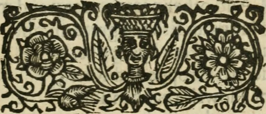 An illustration from Theatrvm chemicvm britannicum : containing severall poeticall pieces of our famous English philosophers, who have written the hermetique mysteries in their owne ancient language, 1652, leaf 370