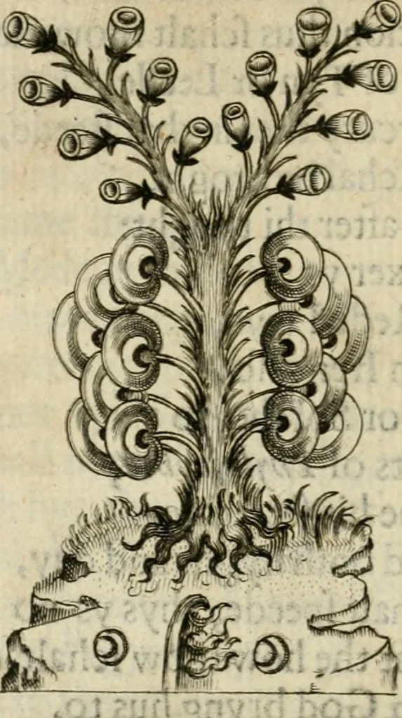 An illustration from Theatrvm chemicvm britannicum : containing severall poeticall pieces of our famous English philosophers, who have written the hermetique mysteries in their owne ancient language, 1652, leaf 371