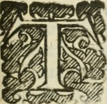 An illustration from Theatrvm chemicvm britannicum : containing severall poeticall pieces of our famous English philosophers, who have written the hermetique mysteries in their owne ancient language, 1652, leaf 386