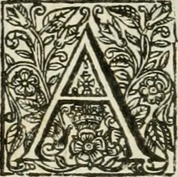 An illustration from Theatrvm chemicvm britannicum : containing severall poeticall pieces of our famous English philosophers, who have written the hermetique mysteries in their owne ancient language, 1652, leaf 391