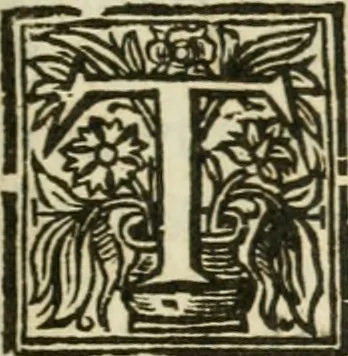 An illustration from Theatrvm chemicvm britannicum : containing severall poeticall pieces of our famous English philosophers, who have written the hermetique mysteries in their owne ancient language, 1652, leaf 416