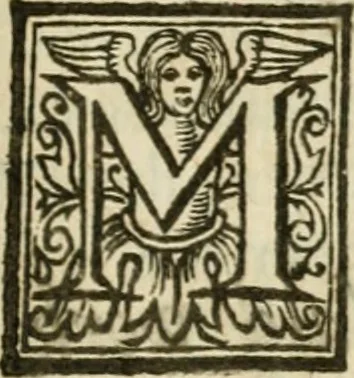 An illustration from Theatrvm chemicvm britannicum : containing severall poeticall pieces of our famous English philosophers, who have written the hermetique mysteries in their owne ancient language, 1652, leaf 450
