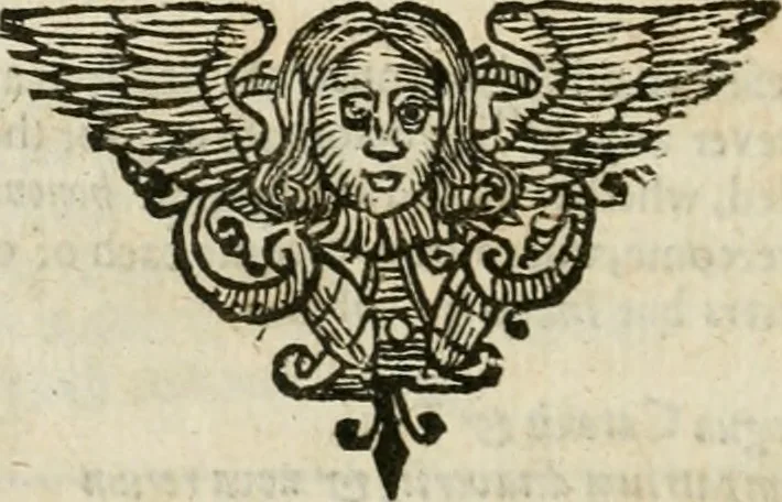 An illustration from Theatrvm chemicvm britannicum : containing severall poeticall pieces of our famous English philosophers, who have written the hermetique mysteries in their owne ancient language, 1652, leaf 511