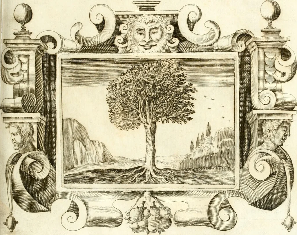 An illustration from Theatrvm omnivm scientiarvm, sive, Apparatvs qvo exceptvs fvit exc.mvs princeps d. Innicvs de Gvevara et Tassis, comes de Oñate & Villamediana, &c. ac Neapolitani regni prorex sapientissimvs, in Neapolitana academia in instavratione stvdiorvm anni MDCXLIX : cvm post sedatos Neapolitani regni tvmvltvs tanto principe avspice neapolitana Pallas armorvm tvrbine pene abrvta capvt erexit, 1650, leaf 132