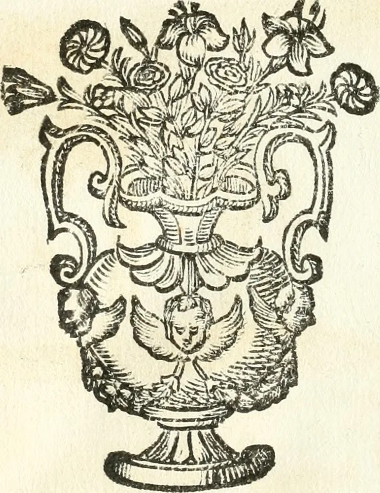 An illustration from Theatrvm omnivm scientiarvm, sive, Apparatvs qvo exceptvs fvit exc.mvs princeps d. Innicvs de Gvevara et Tassis, comes de Oñate & Villamediana, &c. ac Neapolitani regni prorex sapientissimvs, in Neapolitana academia in instavratione stvdiorvm anni MDCXLIX : cvm post sedatos Neapolitani regni tvmvltvs tanto principe avspice neapolitana Pallas armorvm tvrbine pene abrvta capvt erexit, 1650, leaf 135
