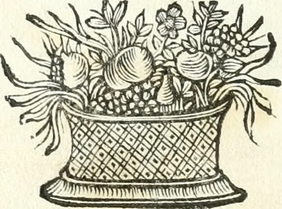 An illustration from Theatrvm omnivm scientiarvm, sive, Apparatvs qvo exceptvs fvit exc.mvs princeps d. Innicvs de Gvevara et Tassis, comes de Oñate & Villamediana, &c. ac Neapolitani regni prorex sapientissimvs, in Neapolitana academia in instavratione stvdiorvm anni MDCXLIX : cvm post sedatos Neapolitani regni tvmvltvs tanto principe avspice neapolitana Pallas armorvm tvrbine pene abrvta capvt erexit, 1650, leaf 147