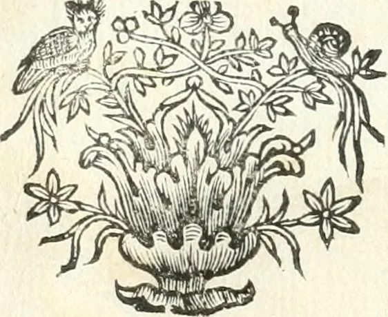 An illustration from Theatrvm omnivm scientiarvm, sive, Apparatvs qvo exceptvs fvit exc.mvs princeps d. Innicvs de Gvevara et Tassis, comes de Oñate & Villamediana, &c. ac Neapolitani regni prorex sapientissimvs, in Neapolitana academia in instavratione stvdiorvm anni MDCXLIX : cvm post sedatos Neapolitani regni tvmvltvs tanto principe avspice neapolitana Pallas armorvm tvrbine pene abrvta capvt erexit, 1650, leaf 151