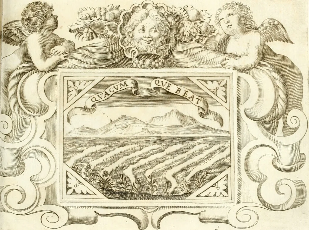 An illustration from Theatrvm omnivm scientiarvm, sive, Apparatvs qvo exceptvs fvit exc.mvs princeps d. Innicvs de Gvevara et Tassis, comes de Oñate & Villamediana, &c. ac Neapolitani regni prorex sapientissimvs, in Neapolitana academia in instavratione stvdiorvm anni MDCXLIX : cvm post sedatos Neapolitani regni tvmvltvs tanto principe avspice neapolitana Pallas armorvm tvrbine pene abrvta capvt erexit, 1650, leaf 164