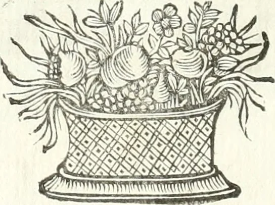 An illustration from Theatrvm omnivm scientiarvm, sive, Apparatvs qvo exceptvs fvit exc.mvs princeps d. Innicvs de Gvevara et Tassis, comes de Oñate & Villamediana, &c. ac Neapolitani regni prorex sapientissimvs, in Neapolitana academia in instavratione stvdiorvm anni MDCXLIX : cvm post sedatos Neapolitani regni tvmvltvs tanto principe avspice neapolitana Pallas armorvm tvrbine pene abrvta capvt erexit, 1650, leaf 187