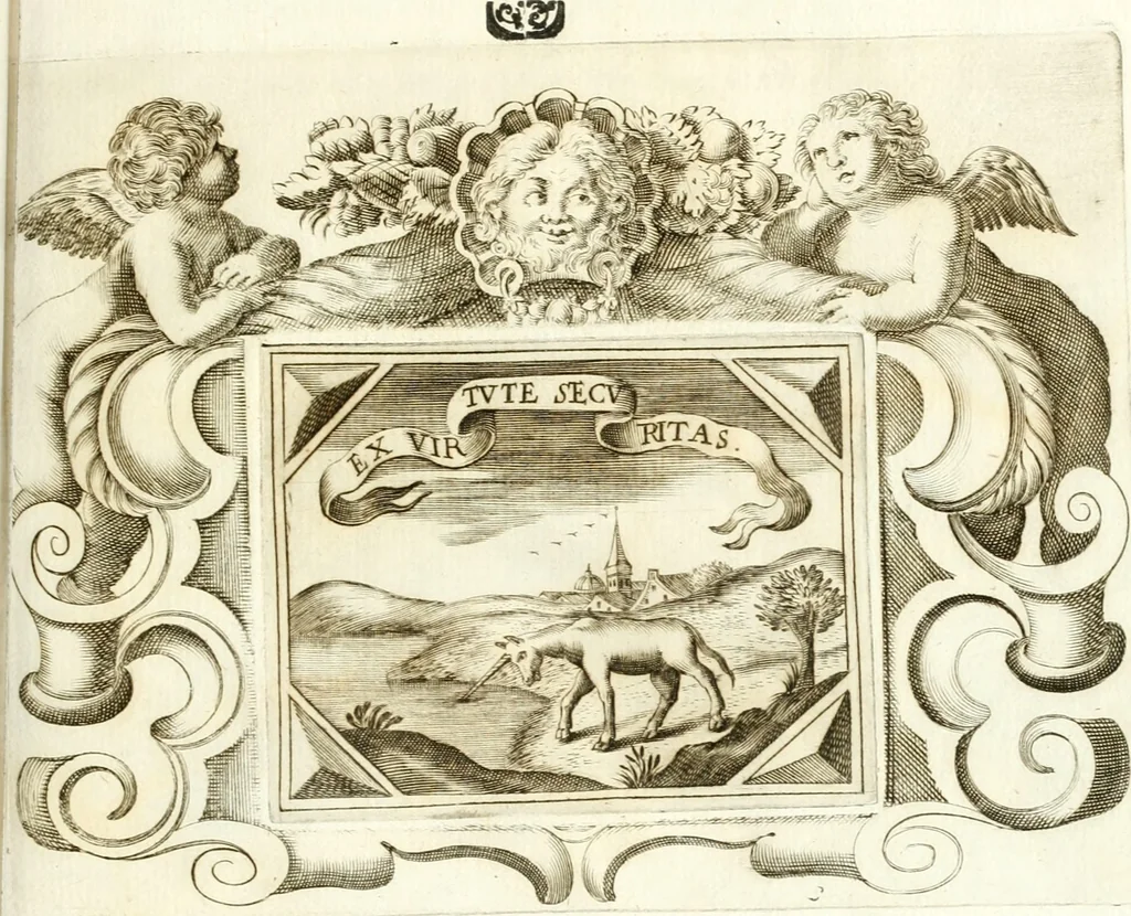 An illustration from Theatrvm omnivm scientiarvm, sive, Apparatvs qvo exceptvs fvit exc.mvs princeps d. Innicvs de Gvevara et Tassis, comes de Oñate & Villamediana, &c. ac Neapolitani regni prorex sapientissimvs, in Neapolitana academia in instavratione stvdiorvm anni MDCXLIX : cvm post sedatos Neapolitani regni tvmvltvs tanto principe avspice neapolitana Pallas armorvm tvrbine pene abrvta capvt erexit, 1650, leaf 204