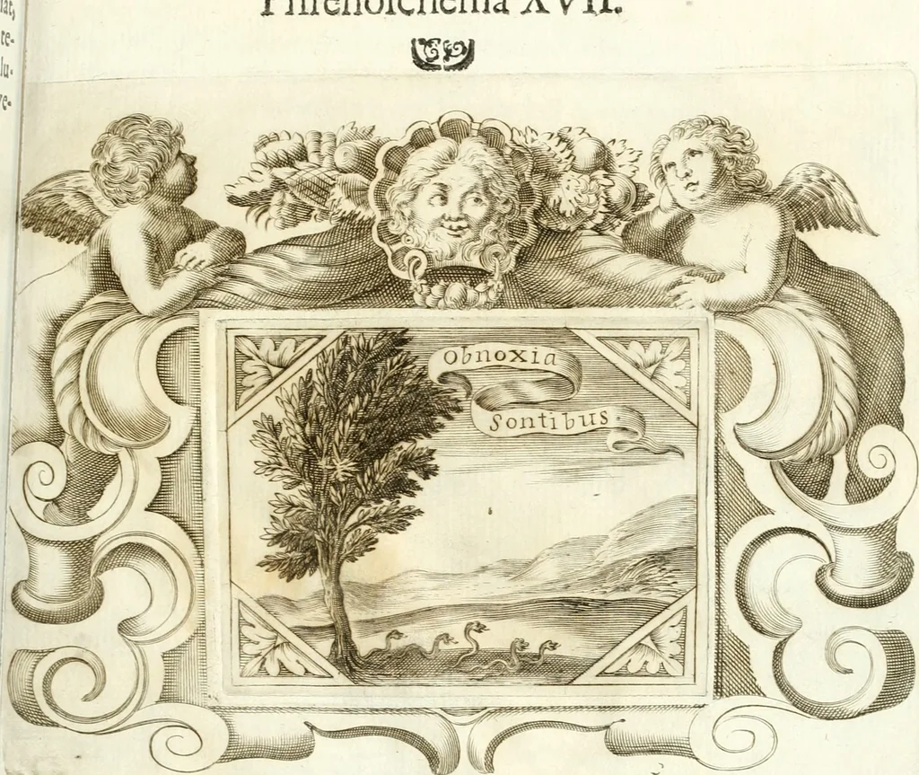 An illustration from Theatrvm omnivm scientiarvm, sive, Apparatvs qvo exceptvs fvit exc.mvs princeps d. Innicvs de Gvevara et Tassis, comes de Oñate & Villamediana, &c. ac Neapolitani regni prorex sapientissimvs, in Neapolitana academia in instavratione stvdiorvm anni MDCXLIX : cvm post sedatos Neapolitani regni tvmvltvs tanto principe avspice neapolitana Pallas armorvm tvrbine pene abrvta capvt erexit, 1650, leaf 208