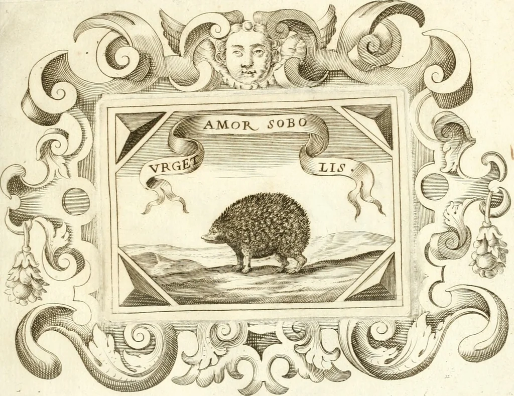 An illustration from Theatrvm omnivm scientiarvm, sive, Apparatvs qvo exceptvs fvit exc.mvs princeps d. Innicvs de Gvevara et Tassis, comes de Oñate & Villamediana, &c. ac Neapolitani regni prorex sapientissimvs, in Neapolitana academia in instavratione stvdiorvm anni MDCXLIX : cvm post sedatos Neapolitani regni tvmvltvs tanto principe avspice neapolitana Pallas armorvm tvrbine pene abrvta capvt erexit, 1650, leaf 218