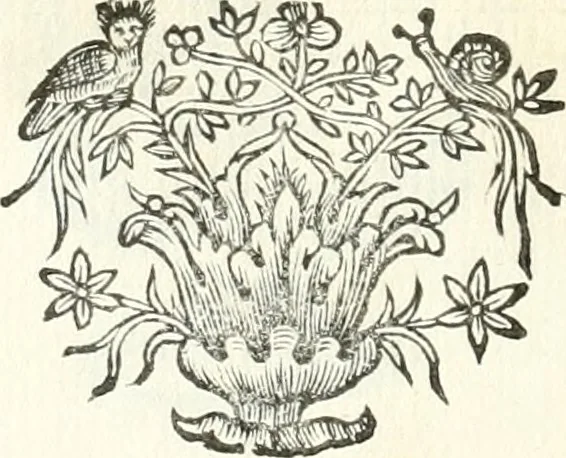 An illustration from Theatrvm omnivm scientiarvm, sive, Apparatvs qvo exceptvs fvit exc.mvs princeps d. Innicvs de Gvevara et Tassis, comes de Oñate & Villamediana, &c. ac Neapolitani regni prorex sapientissimvs, in Neapolitana academia in instavratione stvdiorvm anni MDCXLIX : cvm post sedatos Neapolitani regni tvmvltvs tanto principe avspice neapolitana Pallas armorvm tvrbine pene abrvta capvt erexit, 1650, leaf 221