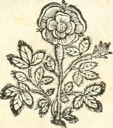 An illustration from Theatrvm omnivm scientiarvm, sive, Apparatvs qvo exceptvs fvit exc.mvs princeps d. Innicvs de Gvevara et Tassis, comes de Oñate & Villamediana, &c. ac Neapolitani regni prorex sapientissimvs, in Neapolitana academia in instavratione stvdiorvm anni MDCXLIX : cvm post sedatos Neapolitani regni tvmvltvs tanto principe avspice neapolitana Pallas armorvm tvrbine pene abrvta capvt erexit, 1650, leaf 23