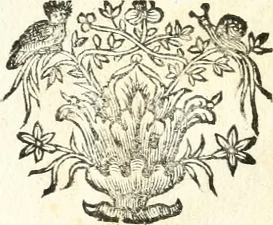 An illustration from Theatrvm omnivm scientiarvm, sive, Apparatvs qvo exceptvs fvit exc.mvs princeps d. Innicvs de Gvevara et Tassis, comes de Oñate & Villamediana, &c. ac Neapolitani regni prorex sapientissimvs, in Neapolitana academia in instavratione stvdiorvm anni MDCXLIX : cvm post sedatos Neapolitani regni tvmvltvs tanto principe avspice neapolitana Pallas armorvm tvrbine pene abrvta capvt erexit, 1650, leaf 269