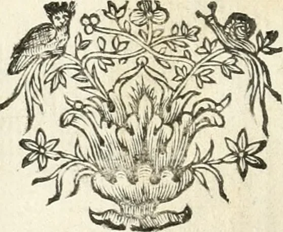 An illustration from Theatrvm omnivm scientiarvm, sive, Apparatvs qvo exceptvs fvit exc.mvs princeps d. Innicvs de Gvevara et Tassis, comes de Oñate & Villamediana, &c. ac Neapolitani regni prorex sapientissimvs, in Neapolitana academia in instavratione stvdiorvm anni MDCXLIX : cvm post sedatos Neapolitani regni tvmvltvs tanto principe avspice neapolitana Pallas armorvm tvrbine pene abrvta capvt erexit, 1650, leaf 289