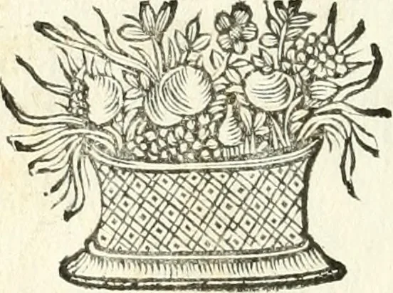An illustration from Theatrvm omnivm scientiarvm, sive, Apparatvs qvo exceptvs fvit exc.mvs princeps d. Innicvs de Gvevara et Tassis, comes de Oñate & Villamediana, &c. ac Neapolitani regni prorex sapientissimvs, in Neapolitana academia in instavratione stvdiorvm anni MDCXLIX : cvm post sedatos Neapolitani regni tvmvltvs tanto principe avspice neapolitana Pallas armorvm tvrbine pene abrvta capvt erexit, 1650, leaf 297