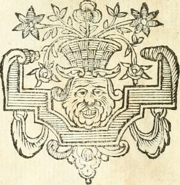 An illustration from Theatrvm omnivm scientiarvm, sive, Apparatvs qvo exceptvs fvit exc.mvs princeps d. Innicvs de Gvevara et Tassis, comes de Oñate & Villamediana, &c. ac Neapolitani regni prorex sapientissimvs, in Neapolitana academia in instavratione stvdiorvm anni MDCXLIX : cvm post sedatos Neapolitani regni tvmvltvs tanto principe avspice neapolitana Pallas armorvm tvrbine pene abrvta capvt erexit, 1650, leaf 301