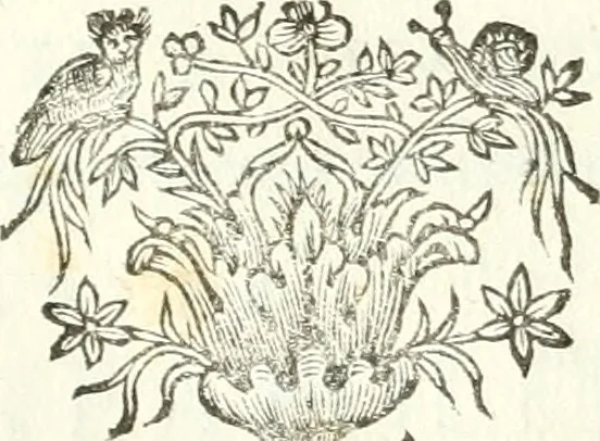 An illustration from Theatrvm omnivm scientiarvm, sive, Apparatvs qvo exceptvs fvit exc.mvs princeps d. Innicvs de Gvevara et Tassis, comes de Oñate & Villamediana, &c. ac Neapolitani regni prorex sapientissimvs, in Neapolitana academia in instavratione stvdiorvm anni MDCXLIX : cvm post sedatos Neapolitani regni tvmvltvs tanto principe avspice neapolitana Pallas armorvm tvrbine pene abrvta capvt erexit, 1650, leaf 308